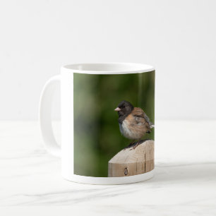 Taza De Café Junco de Ojos Oscuros – Fotografía de Aves de Arte