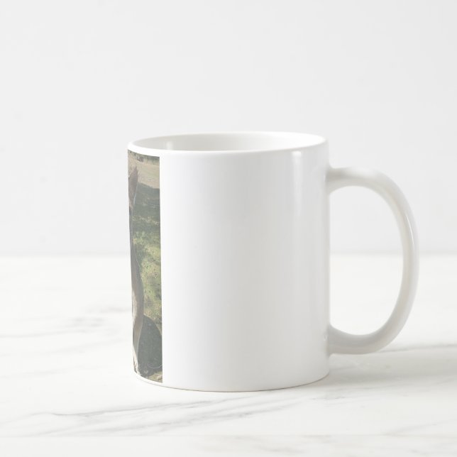 Taza De Café Kangarooo curioso (Derecha)