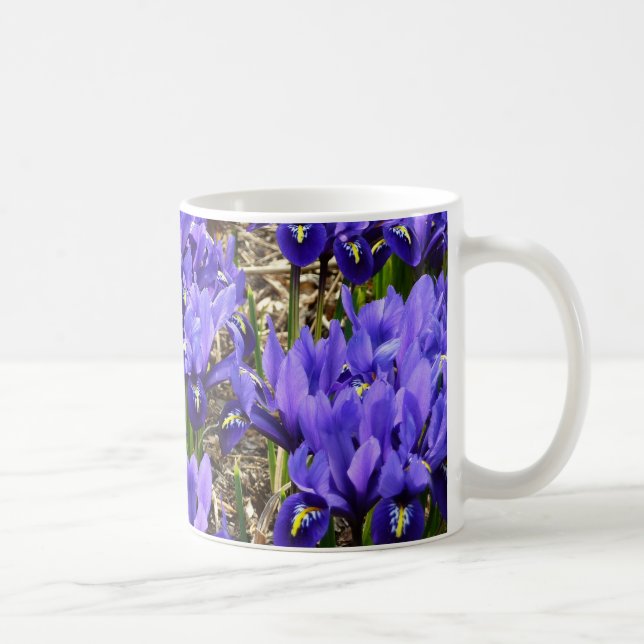 Taza De Café Katherine Hodgkin Iris Purple Spring Floral (Derecha)