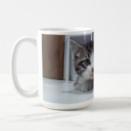 Taza De Café Keeno Floof Stare Coffee Mug