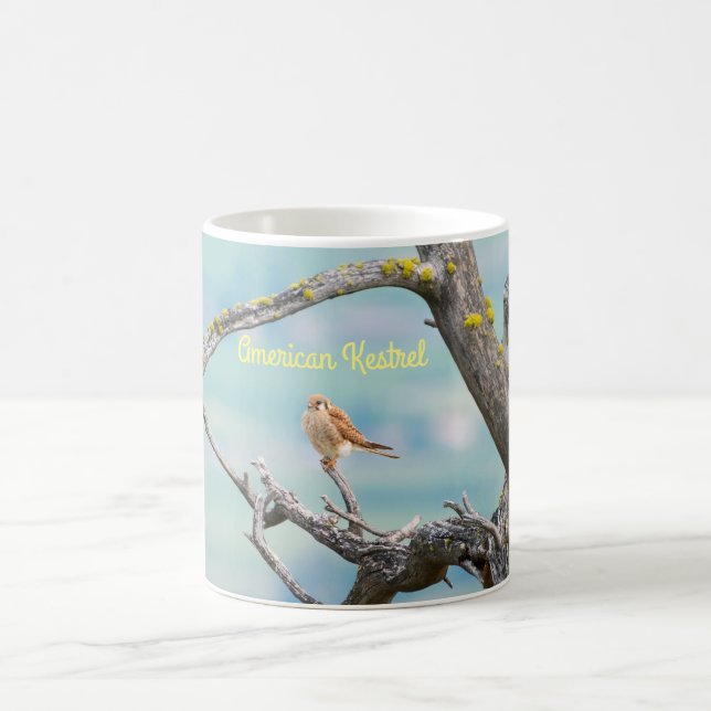 Taza De Café Kestrel americano (Centro)