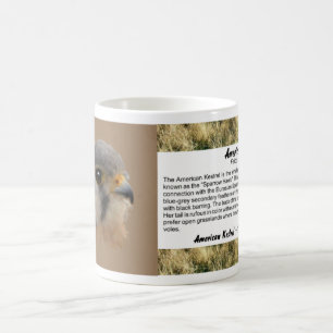 Taza De Café Kestrel americano