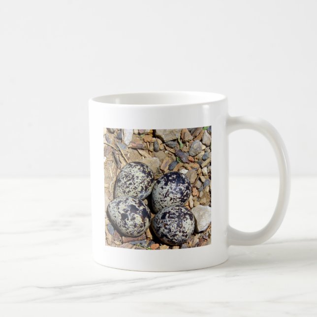 Taza De Café KillDeer Nest con huevos (Derecha)