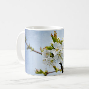 Taza De Café Kirschblüten