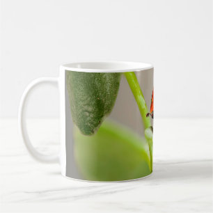 Taza De Café Kissing Ladybugs