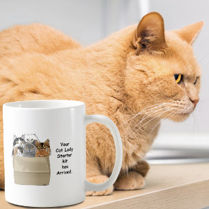 Taza De Café Kit de inicio de la dama del gato