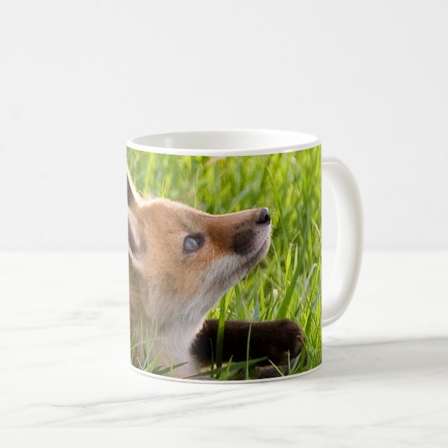 Taza De Café Kit Red Fox (Anverso derecho)