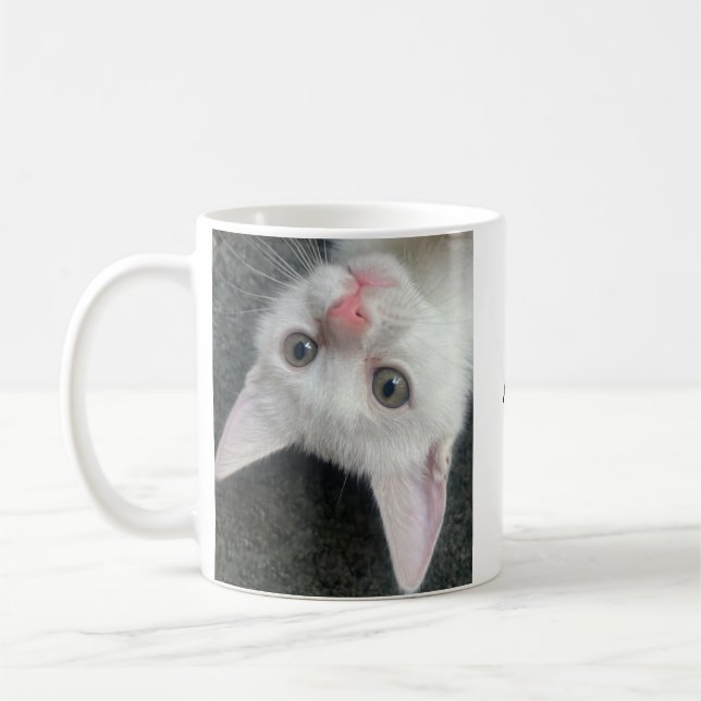 Taza De Café Kitten Mug, Funny Mug (Izquierda)