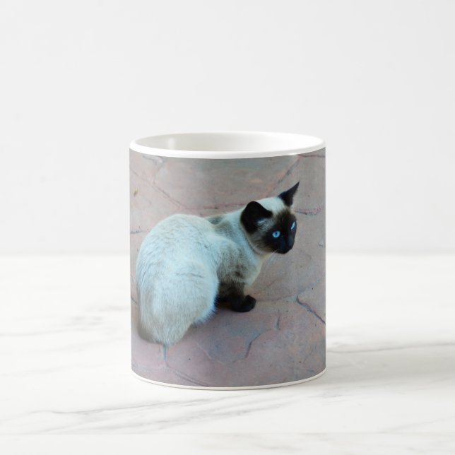 Taza De Café Kitten siamés (Centro)