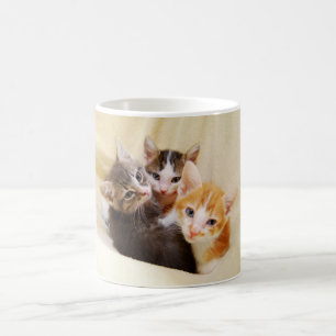 Taza De Café Kitten Trio Mug