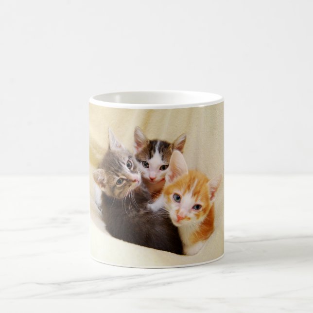Taza De Café Kitten Trio Mug (Centro)