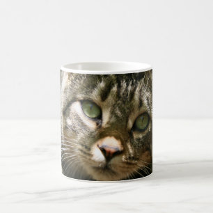 Taza De Café Kitty Mug