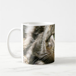 Taza De Café Kitty Mug