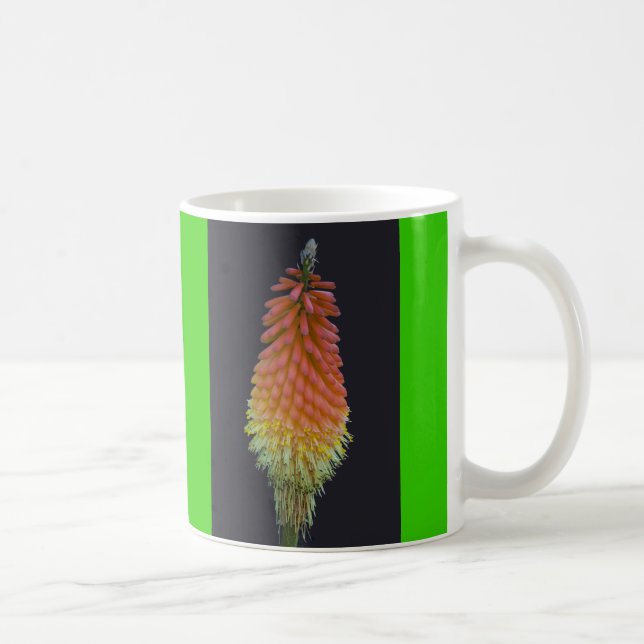 Taza De Café Kniphophia # 219 (Derecha)