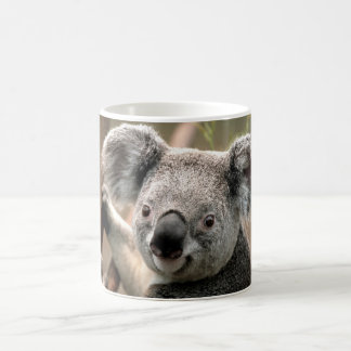 Taza De Café Koala