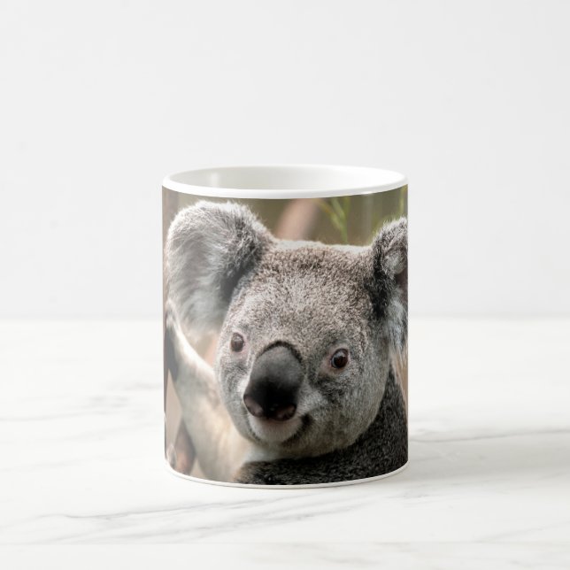 Taza De Café Koala (Centro)