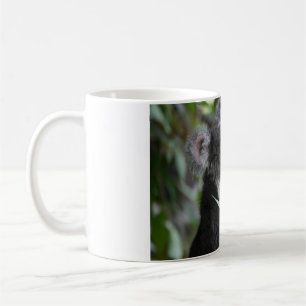 Taza De Café Koala