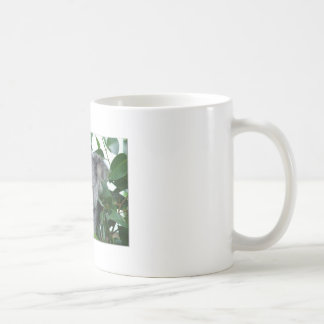 Taza De Café Koala linda