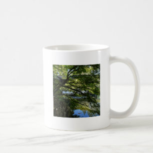 Taza De Café Koi Pond en un jardín chino