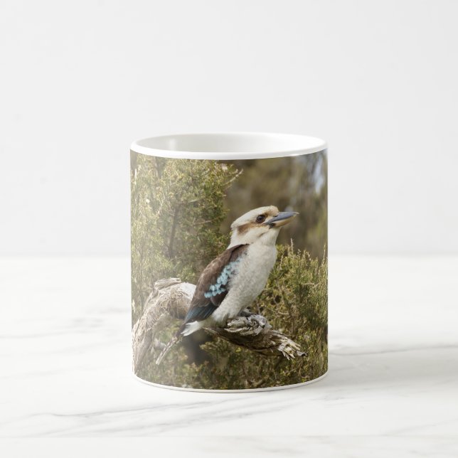 Taza De Café Kookaburra (Centro)