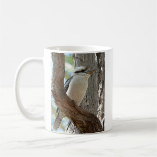 Taza De Café Kookaburra Riéndose Posado en un Árbol de Eucalipt