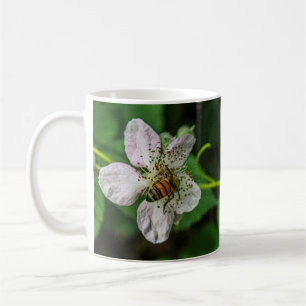 Taza De Café La abeja de miel poliniza una barra de flores de B