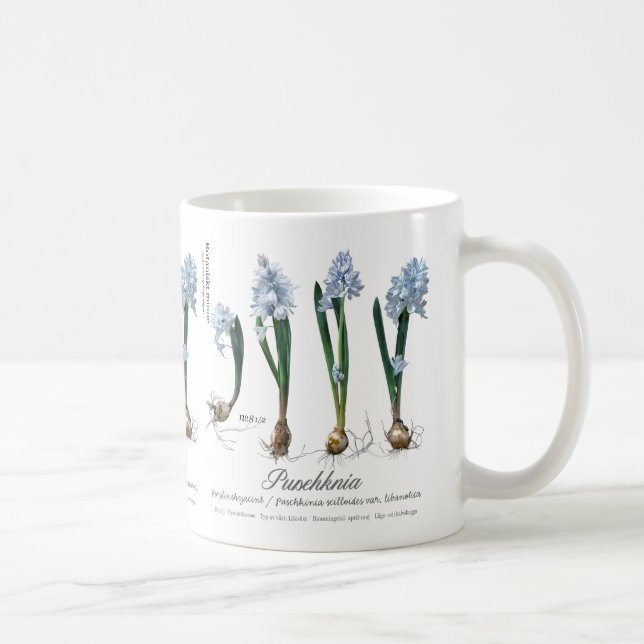 Taza De Café La cafetería del jardín (Derecha)