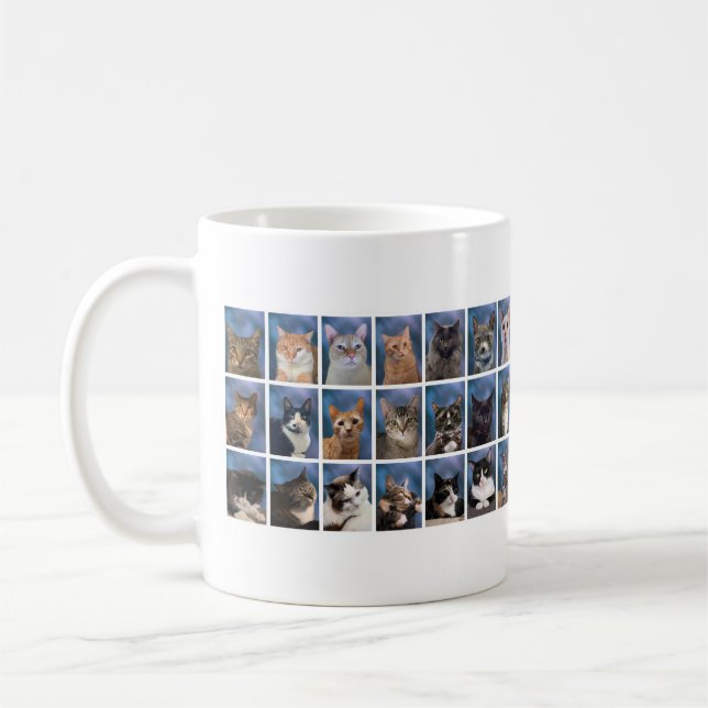 Taza De Café La clase de gato Boring Group de café Mug 2023 (Izquierda)