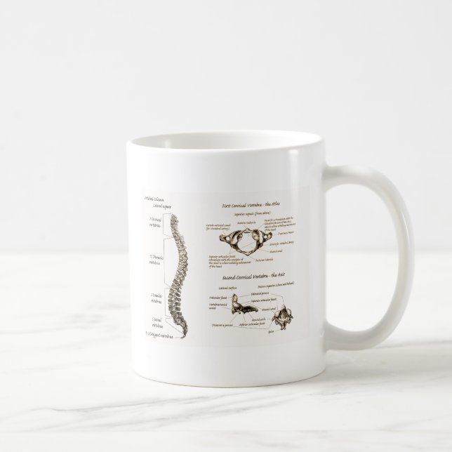 Taza De Café La espina dorsal detalla sepia (Derecha)