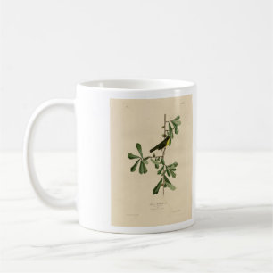 Taza De Café La garganta amarilla de Roscoe, los pájaros de Amé