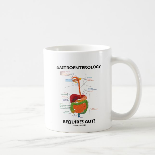 Taza De Café La gastroenterología requiere la tripa (el sistema (Derecha)