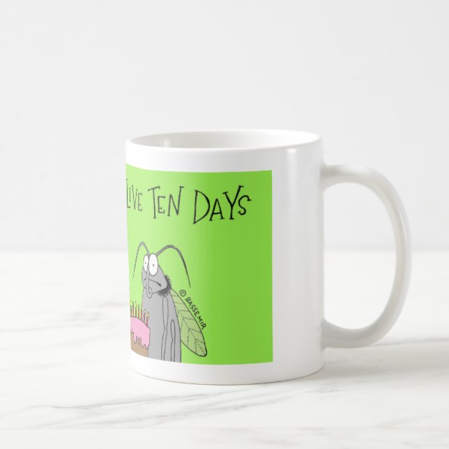Taza De Café La mosca del vinagre tiene 10 días (Derecha)