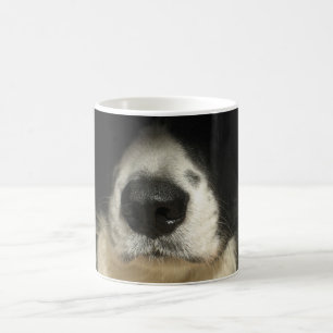 Taza De Café La nariz del perro se acerca