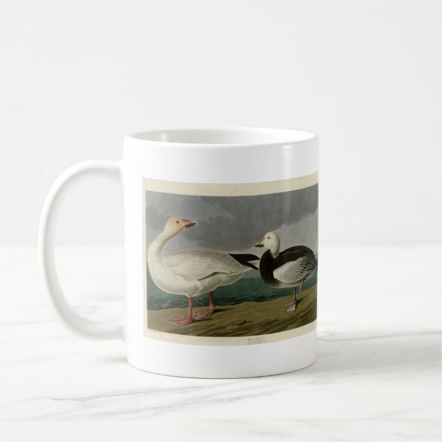 Taza De Café La nieve surge de los pájaros de América de Audubo (Izquierda)