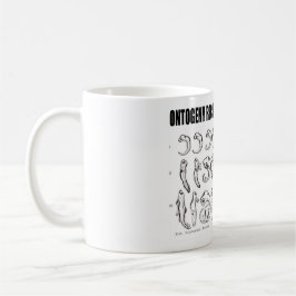 Taza De Café La ontogenia recapitula la filogenia (la biología)