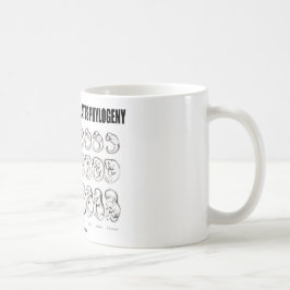 Taza De Café La ontogenia recapitula la filogenia (la biología)