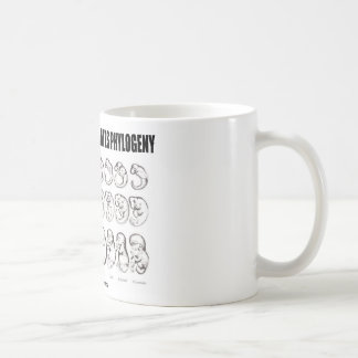 Taza De Café La ontogenia recapitula la filogenia (la biología)