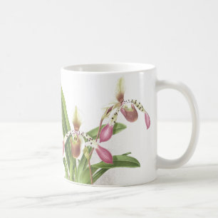 Taza De Café La orquídea de deslizador botánica de Ladys