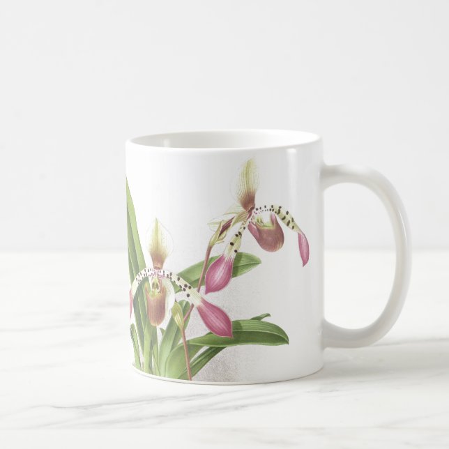 Taza De Café La orquídea de deslizador botánica de Ladys (Derecha)