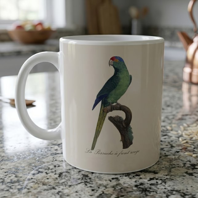 Taza De Café La Perruche es una onda frontal (Orange-Fronted Parakeet, Eupsittula Canicularis. Coffee Mug)