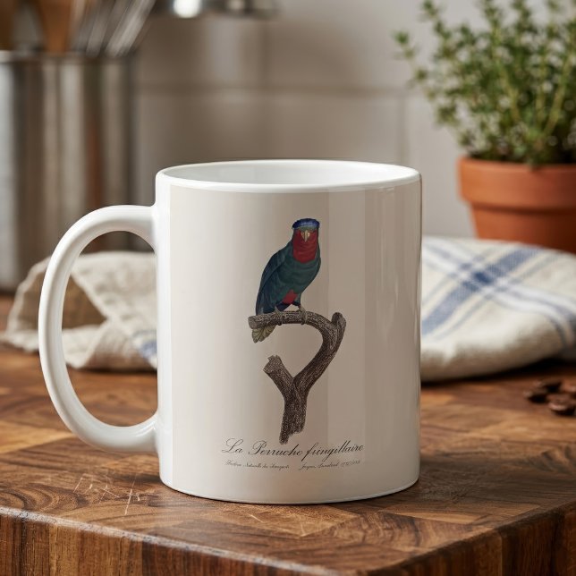 Taza De Café La Perruche fringillaire (Blue-Crowned Lorikeet, Vini Australis. Coffee Mug)