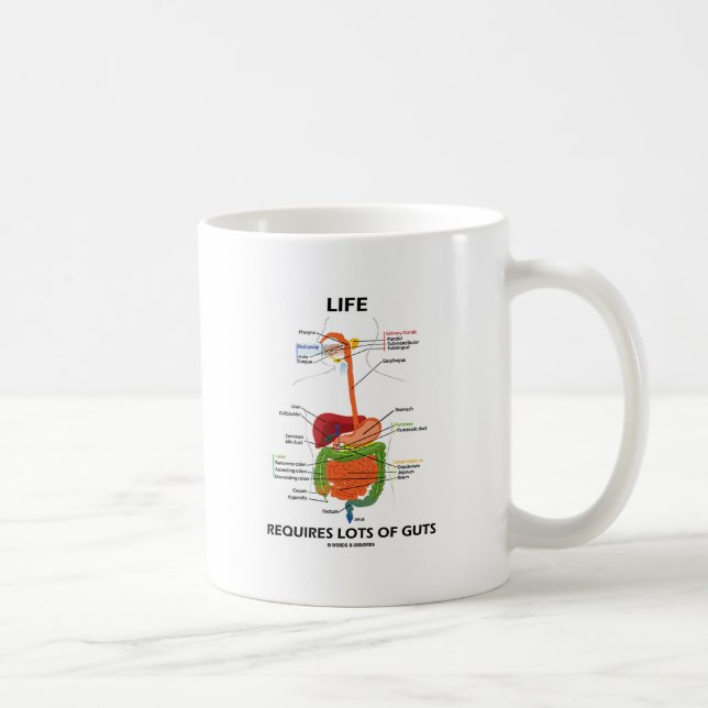 Taza De Café La vida requiere porciones de tripa (el sistema (Derecha)