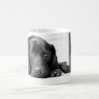 Taza De Café Labrador negro