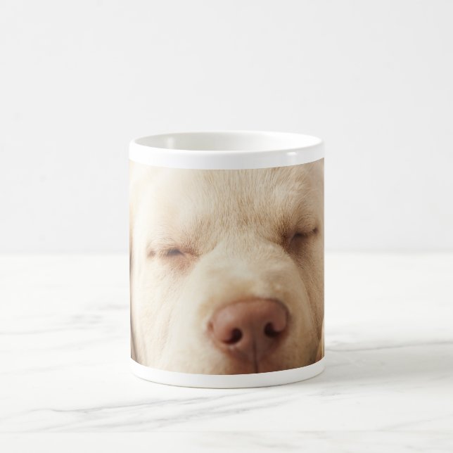 Taza De Café Labrador retriever amarillo (Centro)