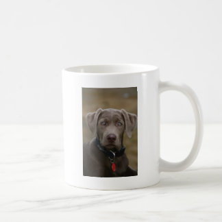 Taza De Café Labrador retriever en plata ligera rara
