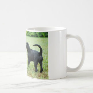 Taza De Café Labrador retriever negro