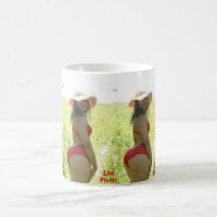 Lado del movimiento del perfil bajo el mejor de la