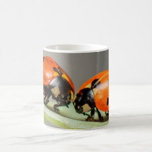 Taza De Café Lady Bugs White Coffee Mug