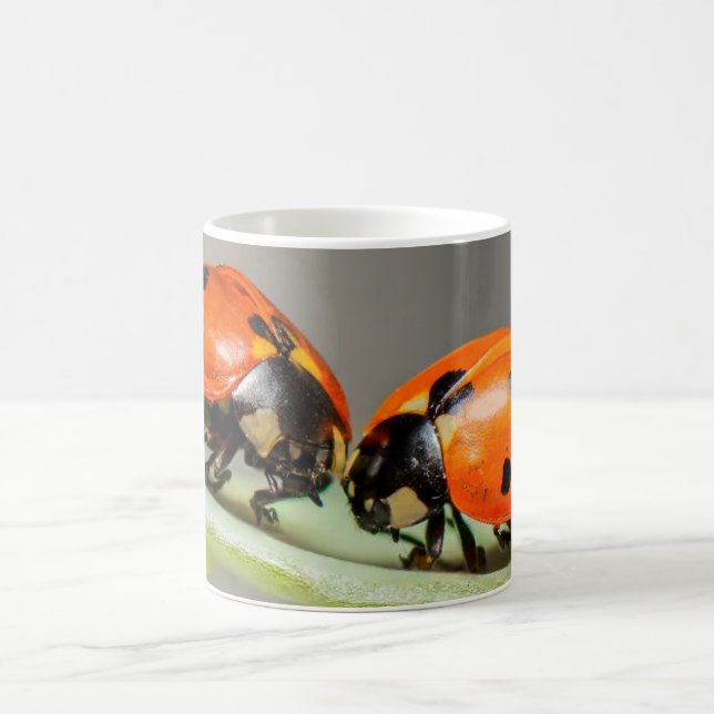 Taza De Café Lady Bugs White Coffee Mug (Centro)