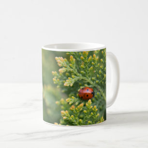 Taza De Café Ladybug